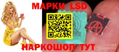 MESCALINE Камышлов