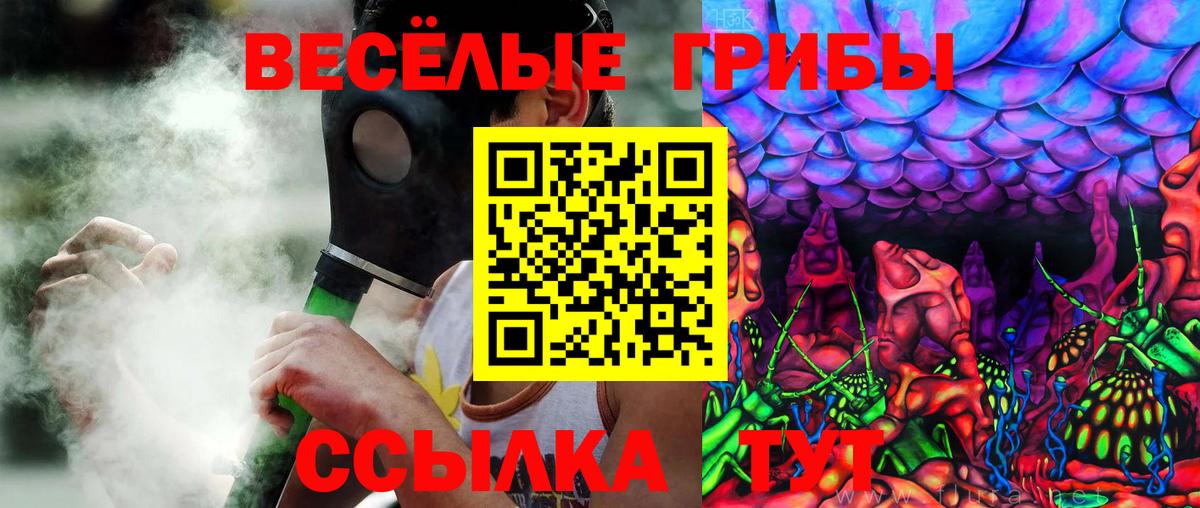 Псилоцибиновые грибы мухоморы Коркино
