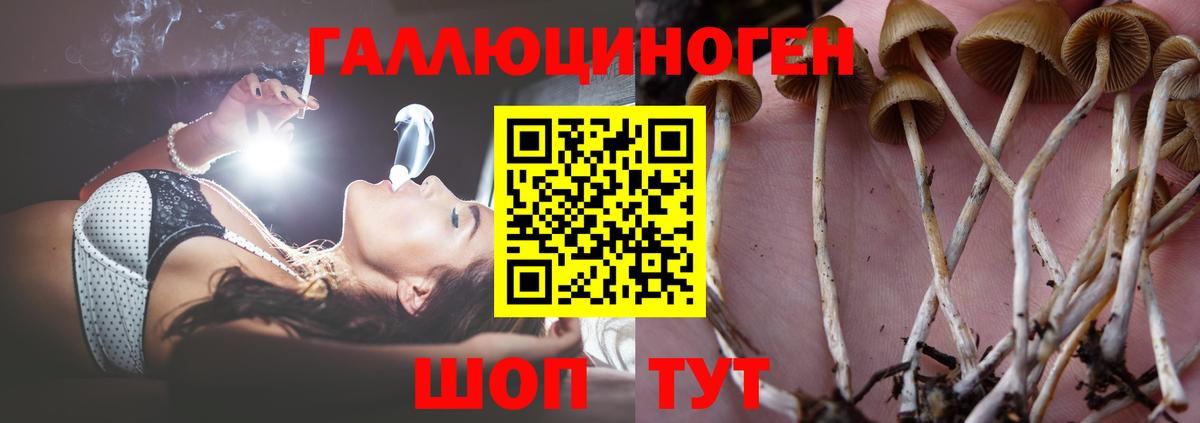 Псилоцибиновые грибы MAGIC MUSHROOMS  Вход с VPN  Коркино  Псилоцибиновые грибы прущие грибы 